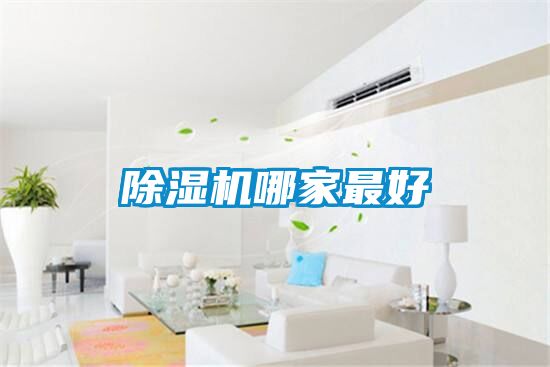 国产精品探花在线观看 除湿机哪家最好