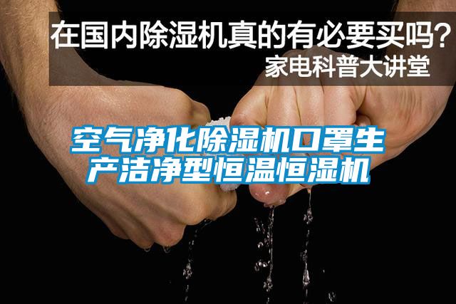 国产精品三级在线观看 空气净化除湿机口罩生产洁净型恒温恒湿机