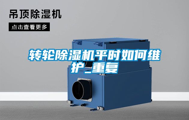 国产精品三级在线观看 转轮除湿机平时如何维护_重复