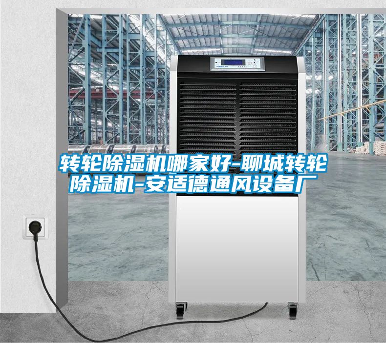 国产精品欧美激情视频 转轮除湿机哪家好-聊城转轮除湿机-安适德通风设备厂