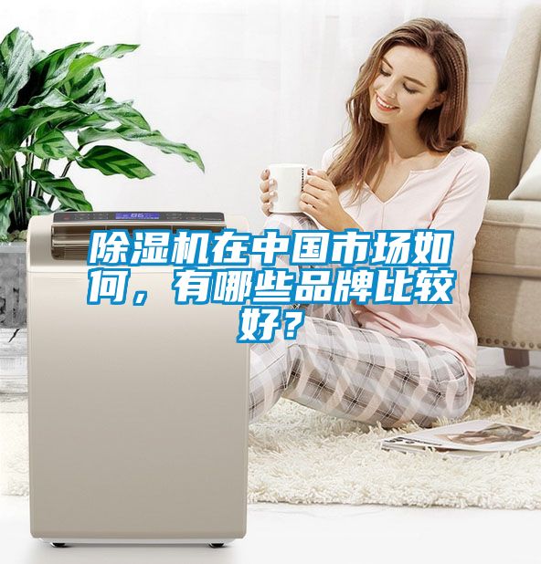 国产精品欧美激情视频 除湿机在中国市场如何，有哪些品牌比较好？