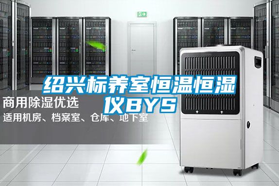 国产精品欧美激情视频 绍兴标养室恒温恒湿仪BYS