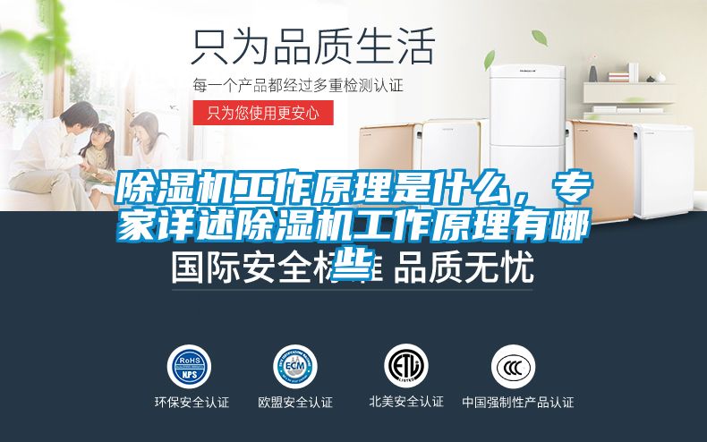 国产精品探花在线观看 除湿机工作原理是什么，专家详述除湿机工作原理有哪些