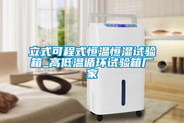 国产精品探花在线观看 立式可程式恒温恒湿试验箱_高低温循环试验箱厂家