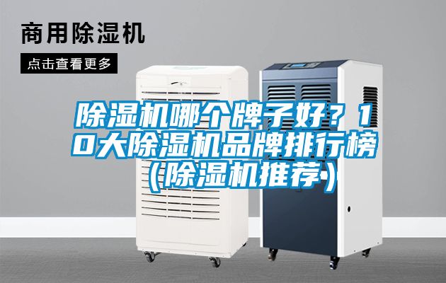国产精品三级在线观看 除湿机哪个牌子好？10大除湿机品牌排行榜（除湿机推荐）
