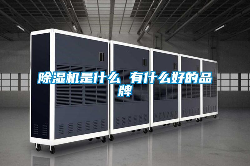国产精品探花在线观看 除湿机是什么 有什么好的品牌