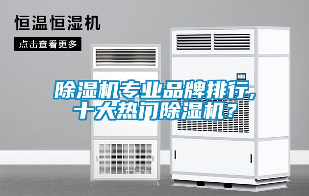 国产精品三级在线观看 除湿机专业品牌排行,十大热门除湿机？
