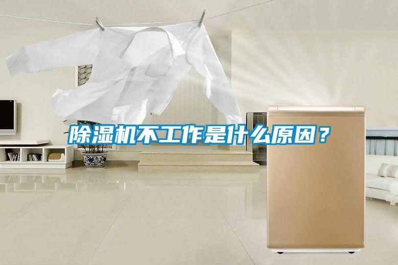 国产精品三级在线观看 除湿机不工作是什么原因？