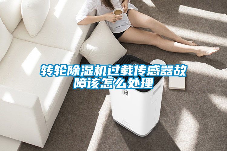 国产精品三级在线观看 转轮除湿机过载传感器故障该怎么处理