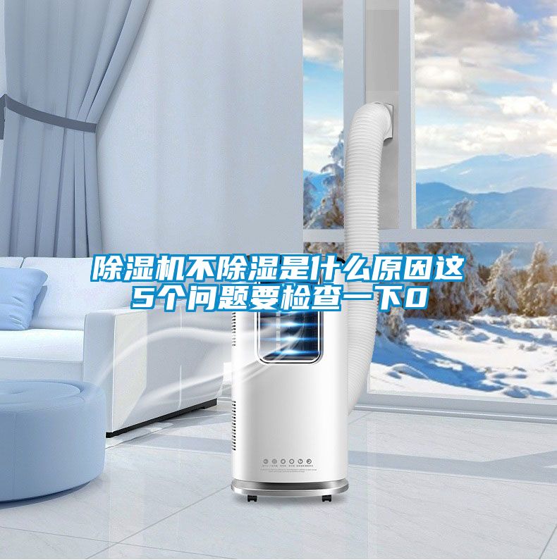 国产精品欧美激情视频 除湿机不除湿是什么原因这5个问题要检查一下0