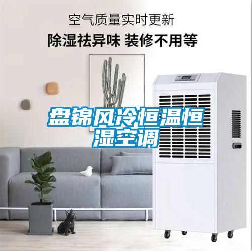 国产精品三级在线观看 盘锦风冷恒温恒湿空调