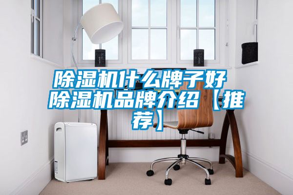 国产精品欧美激情视频 除湿机什么牌子好 除湿机品牌介绍【推荐】