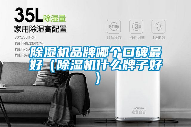 国产精品三级在线观看 除湿机品牌哪个口碑最好（除湿机什么牌子好）