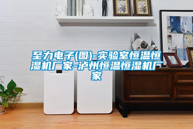国产精品三级在线观看 至力电子(图)-实验室恒温恒湿机厂家-泸州恒温恒湿机厂家