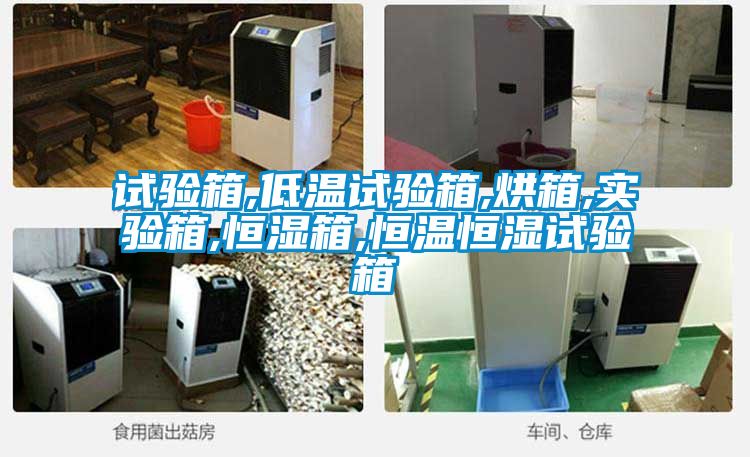 国产精品欧美激情视频 试验箱,低温试验箱,烘箱,实验箱,恒湿箱,恒温恒湿试验箱