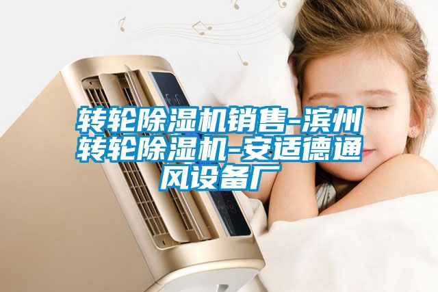 国产精品三级在线观看 转轮除湿机销售-滨州转轮除湿机-安适德通风设备厂