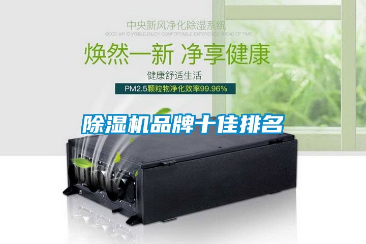 国产精品探花在线观看 除湿机品牌十佳排名