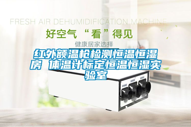 国产精品欧美激情视频 红外额温枪检测恒温恒湿房 体温计标定恒温恒湿实验室