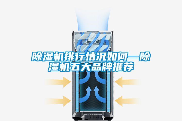 国产精品三级在线观看 除湿机排行情况如何—除湿机五大品牌推荐