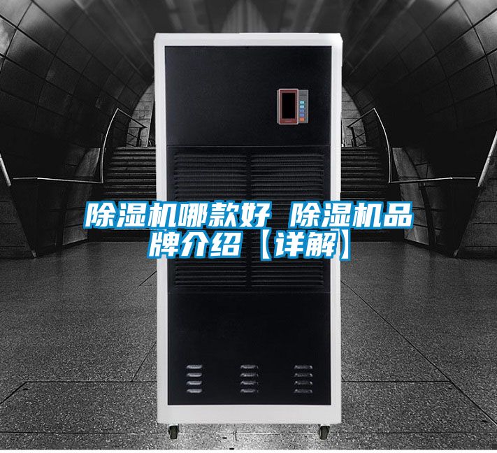 国产精品欧美激情视频 除湿机哪款好 除湿机品牌介绍【详解】