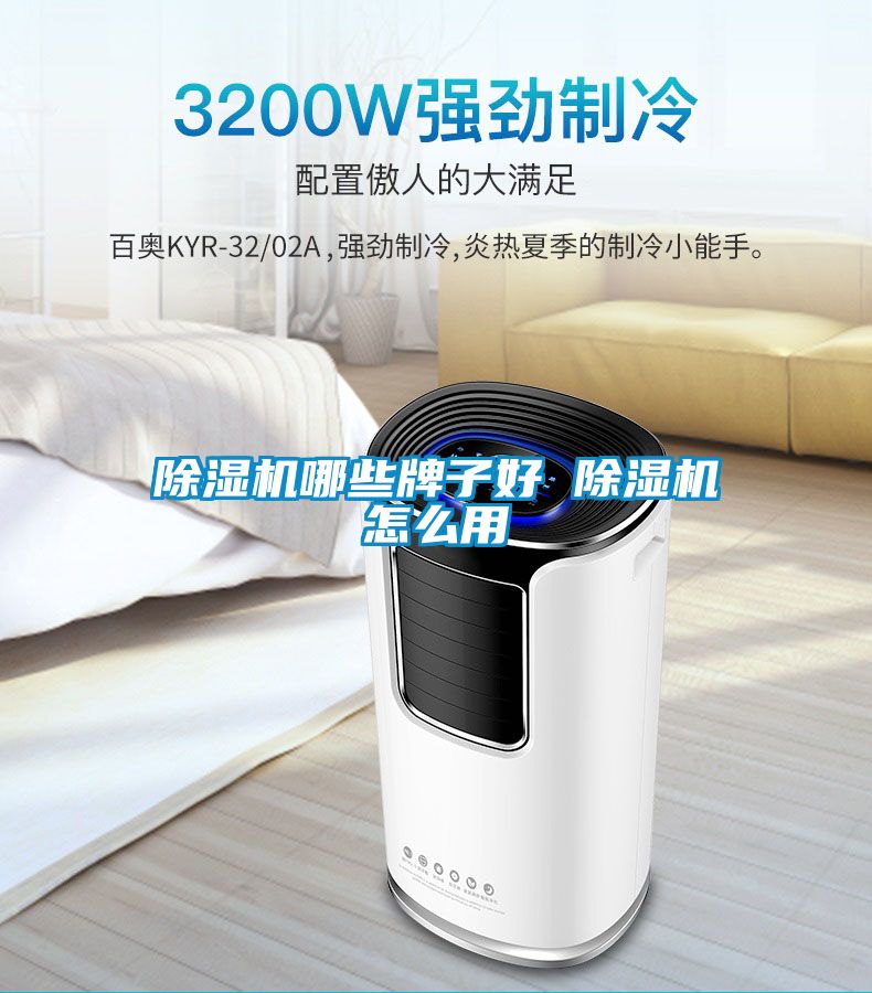 国产精品三级在线观看 除湿机哪些牌子好 除湿机怎么用