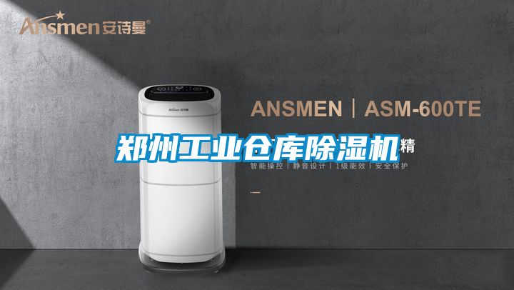 国产精品欧美激情视频 郑州工业仓库除湿机
