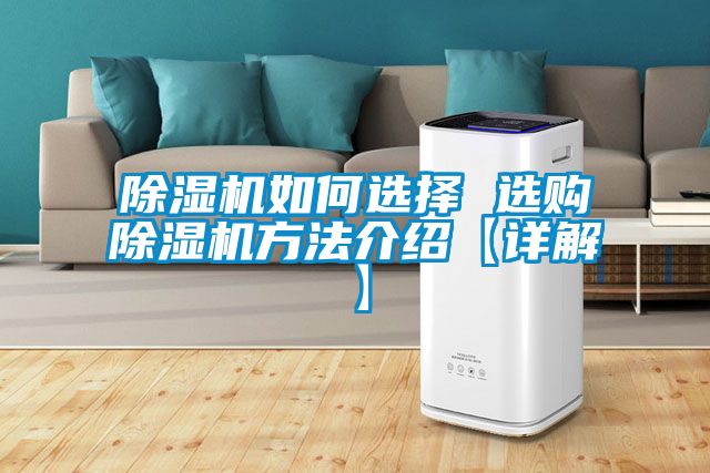 国产精品欧美激情视频 除湿机如何选择 选购除湿机方法介绍【详解】