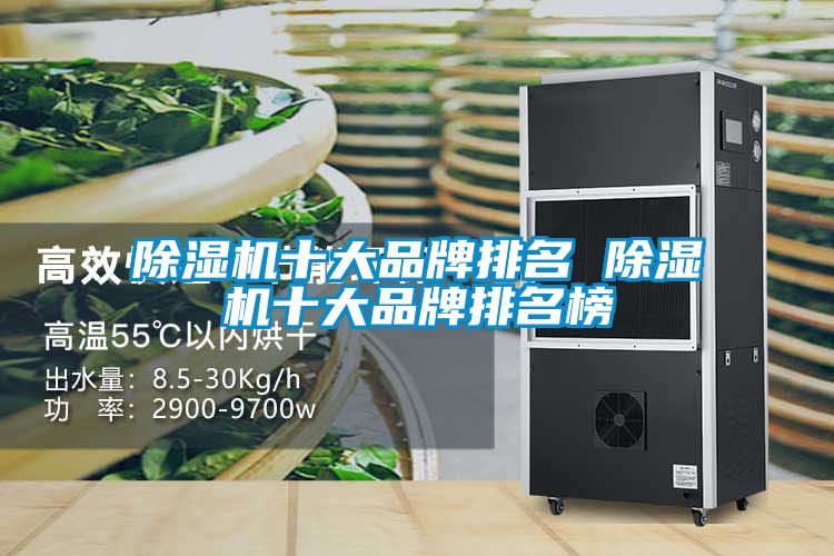 国产精品三级在线观看 除湿机十大品牌排名 除湿机十大品牌排名榜
