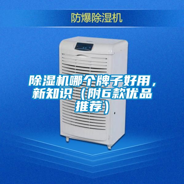 国产精品三级在线观看 除湿机哪个牌子好用，新知识（附6款优品推荐）