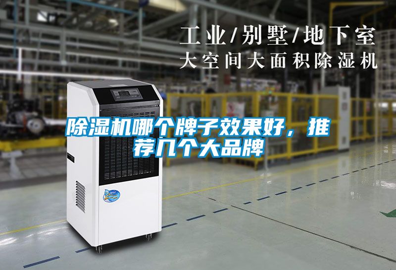 国产精品探花在线观看 除湿机哪个牌子效果好，推荐几个大品牌
