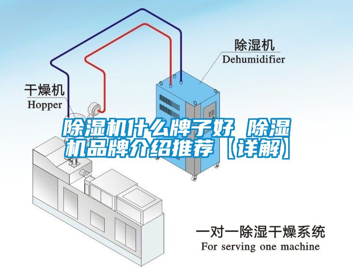国产精品三级在线观看 除湿机什么牌子好 除湿机品牌介绍推荐【详解】