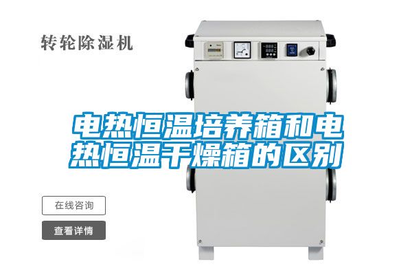 国产精品三级在线观看 电热恒温培养箱和电热恒温干燥箱的区别