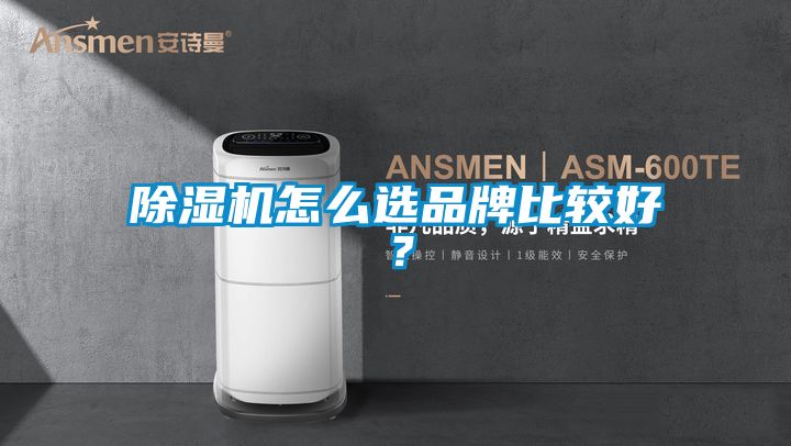 国产精品欧美激情视频 除湿机怎么选品牌比较好？