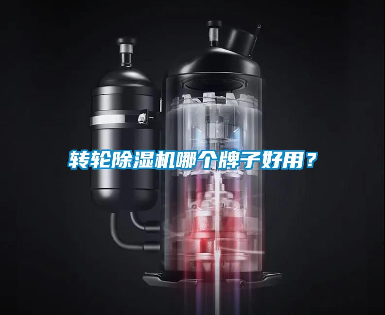 国产精品欧美激情视频 转轮除湿机哪个牌子好用？
