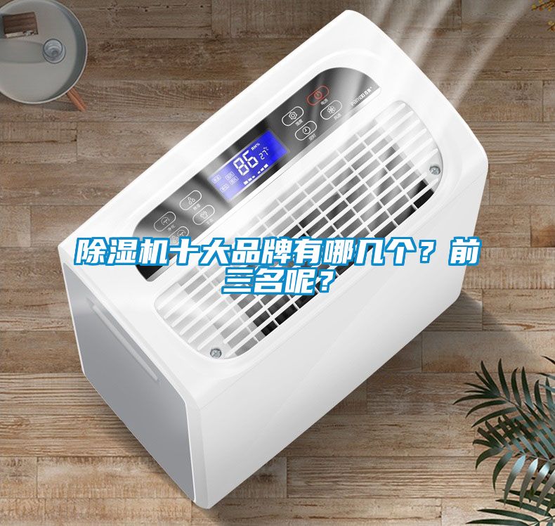 国产精品探花在线观看 除湿机十大品牌有哪几个？前三名呢？