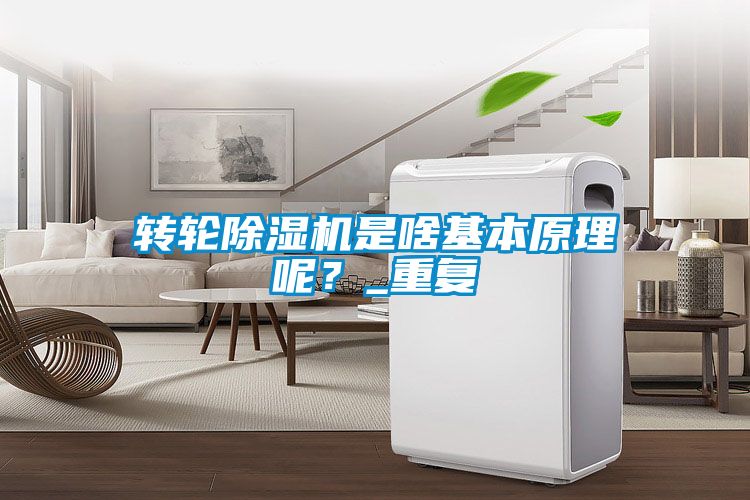 国产精品欧美激情视频 转轮除湿机是啥基本原理呢？_重复