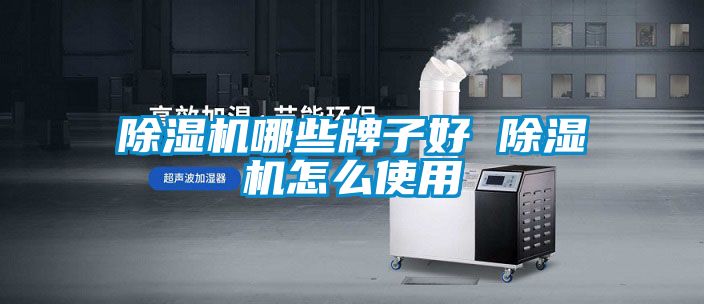 国产精品欧美激情视频 除湿机哪些牌子好 除湿机怎么使用