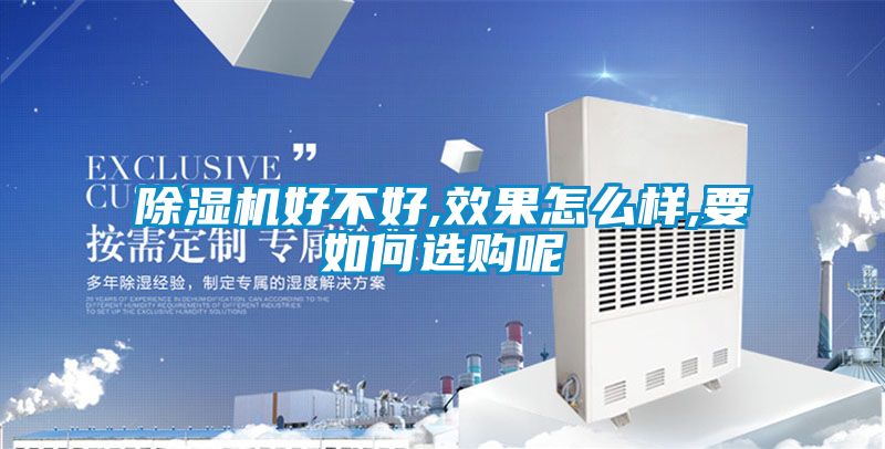 国产精品欧美激情视频 除湿机好不好,效果怎么样,要如何选购呢