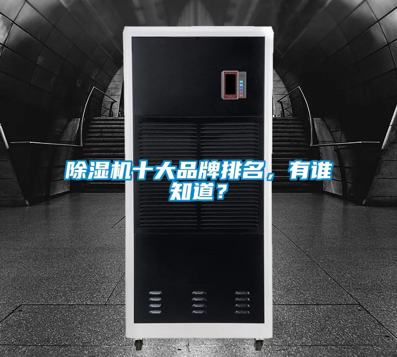 国产精品三级在线观看 除湿机十大品牌排名，有谁知道？
