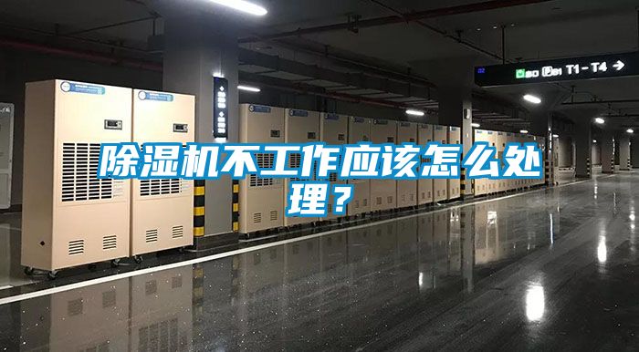 国产精品三级在线观看 除湿机不工作应该怎么处理？