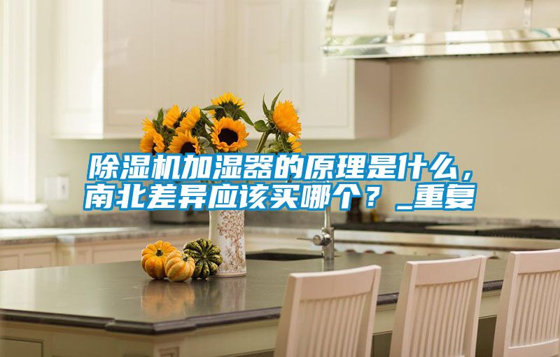 国产精品欧美激情视频 除湿机加湿器的原理是什么，南北差异应该买哪个？_重复