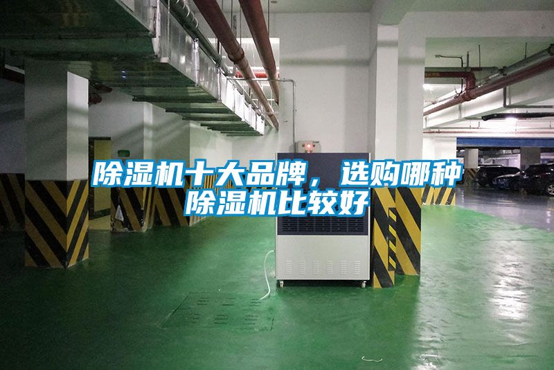 国产精品欧美激情视频 除湿机十大品牌，选购哪种除湿机比较好