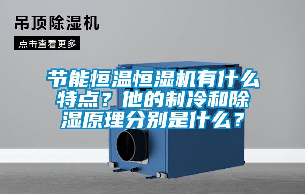 国产精品欧美激情视频 节能恒温恒湿机有什么特点？他的制冷和除湿原理分别是什么？