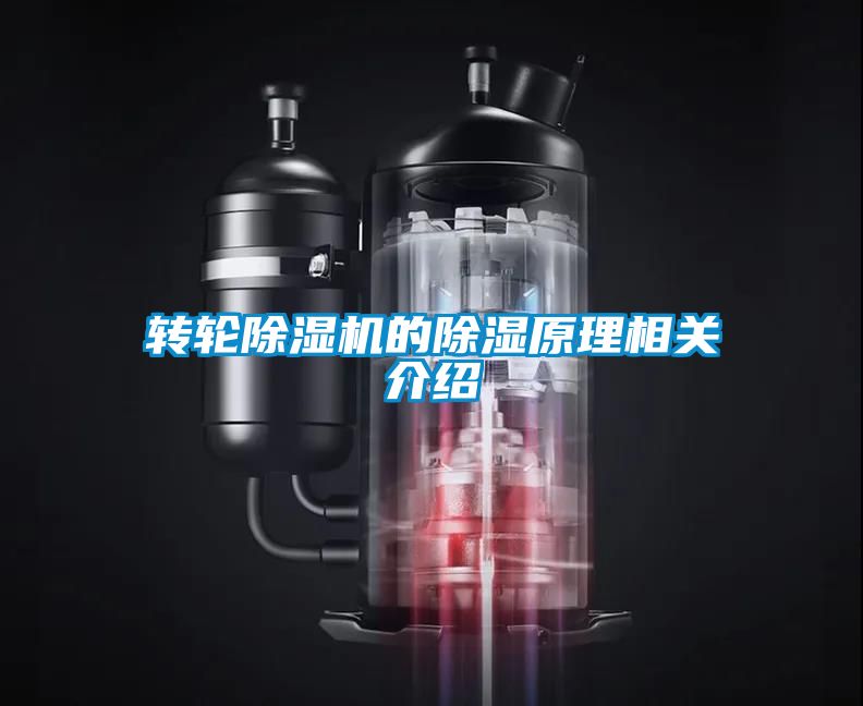 国产精品探花在线观看 转轮除湿机的除湿原理相关介绍