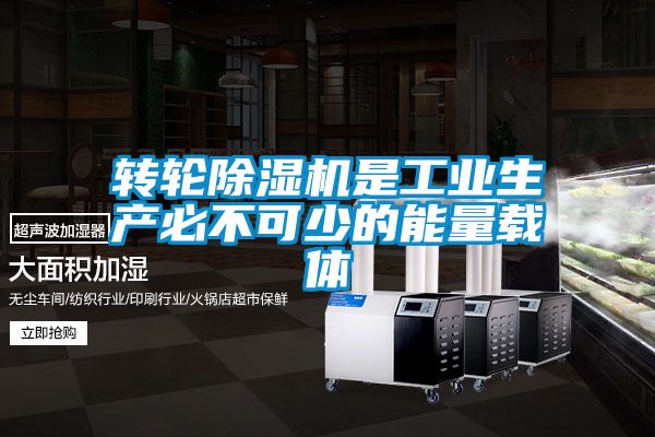 国产精品三级在线观看 转轮除湿机是工业生产必不可少的能量载体
