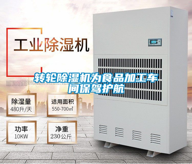 国产精品三级在线观看 转轮除湿机为食品加工车间保驾护航