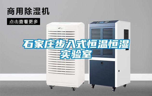 国产精品探花在线观看 石家庄步入式恒温恒湿实验室