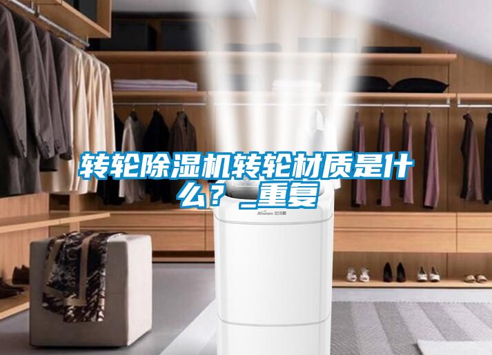 国产精品探花在线观看 转轮除湿机转轮材质是什么？_重复