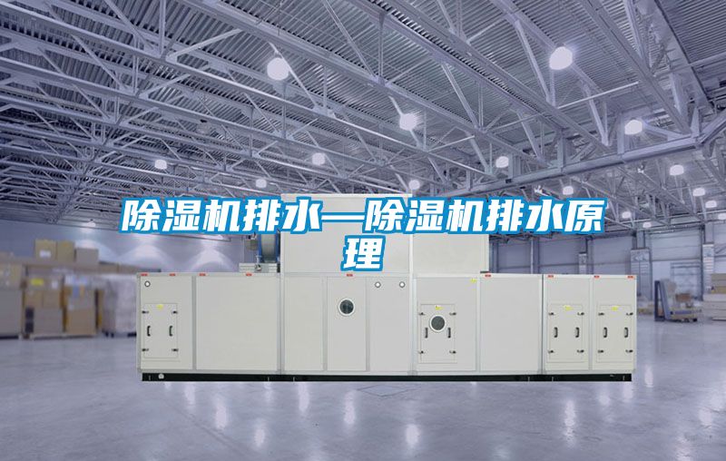 国产精品欧美激情视频 除湿机排水—除湿机排水原理