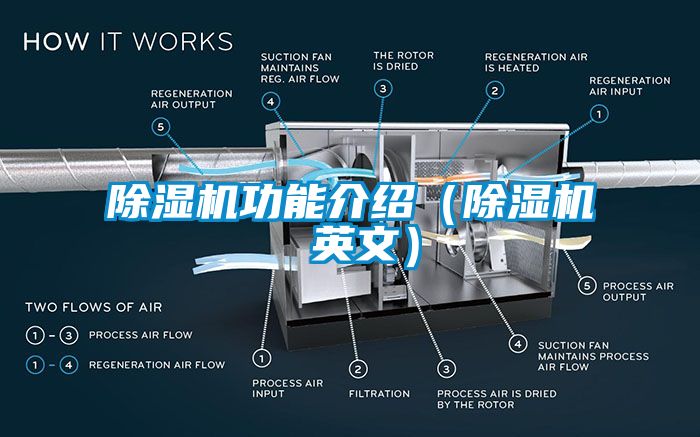 国产精品欧美激情视频 除湿机功能介绍（除湿机 英文）